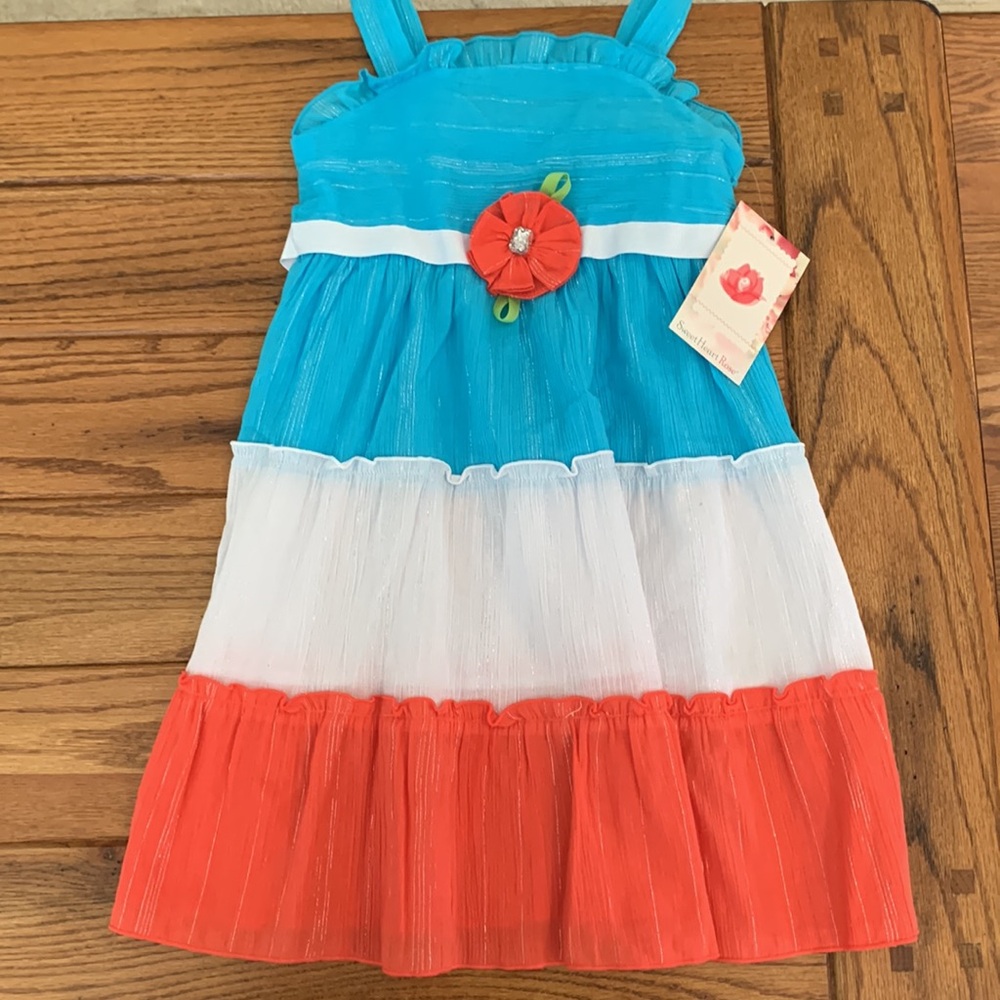 Sweet Heart Rose dress size 6X